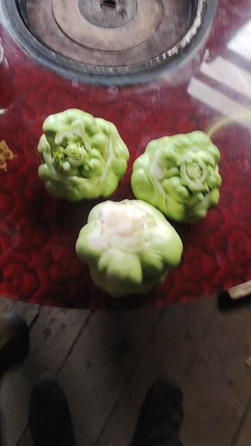 重庆黔江榨菜头