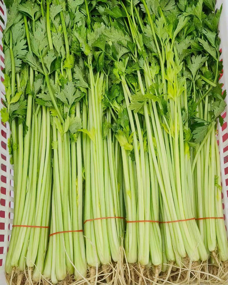 芹菜