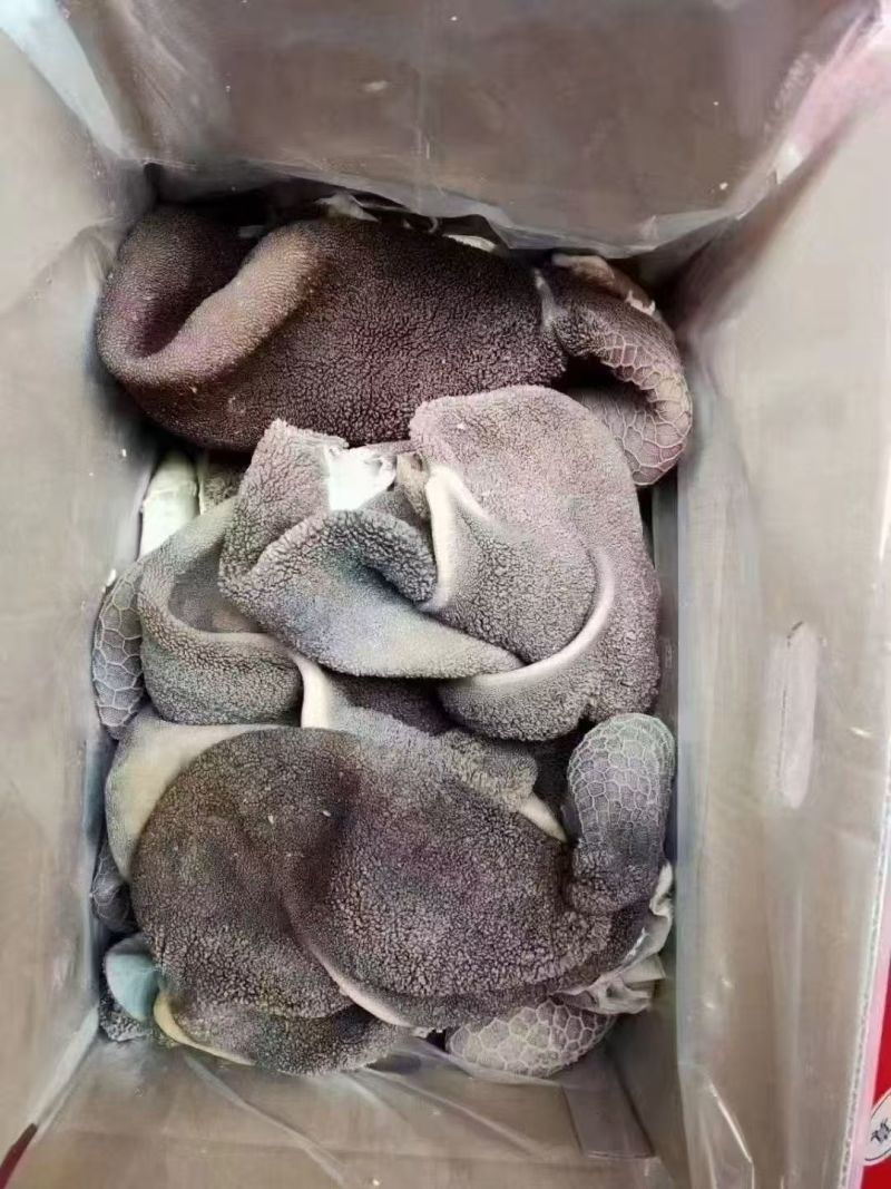 黑羊肚9.75一斤