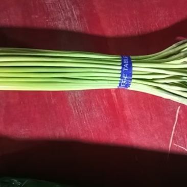 河南蒜薹