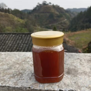 野生纯蜂蜜