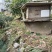 野生纯蜂蜜
