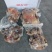 熟羊肉去皮带皮库存充足，质量**，种类多，一件20公斤一件起