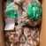 熟羊肉去皮带皮库存充足，质量**，种类多，一件20公斤一件起