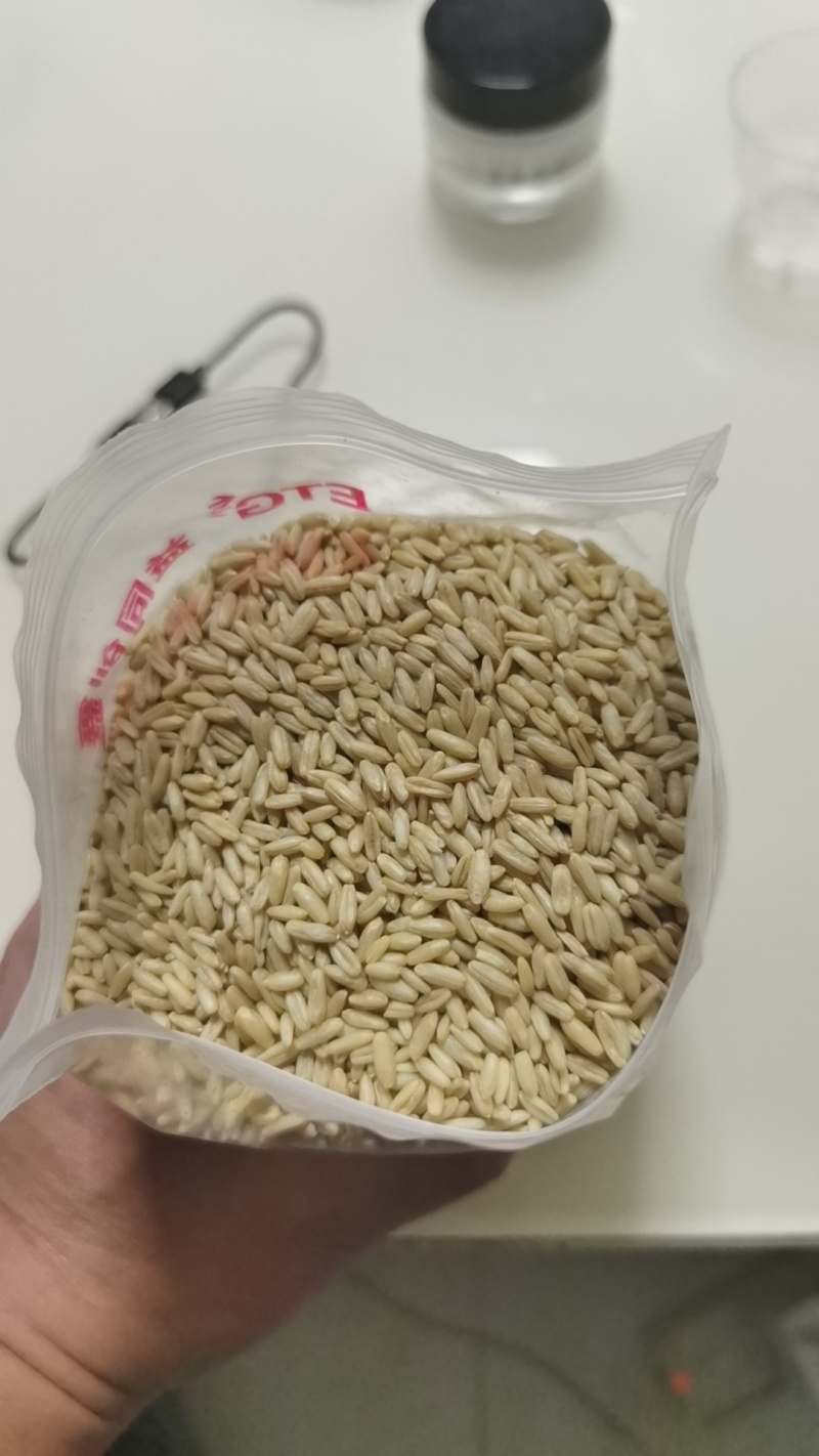 燕麦米