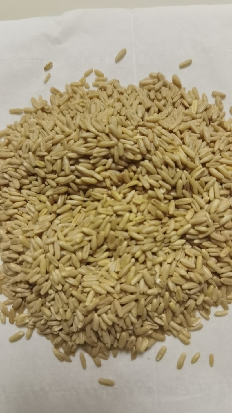 燕麦米