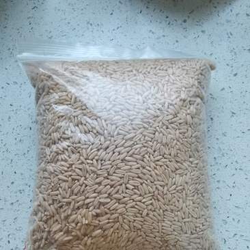 燕麦米