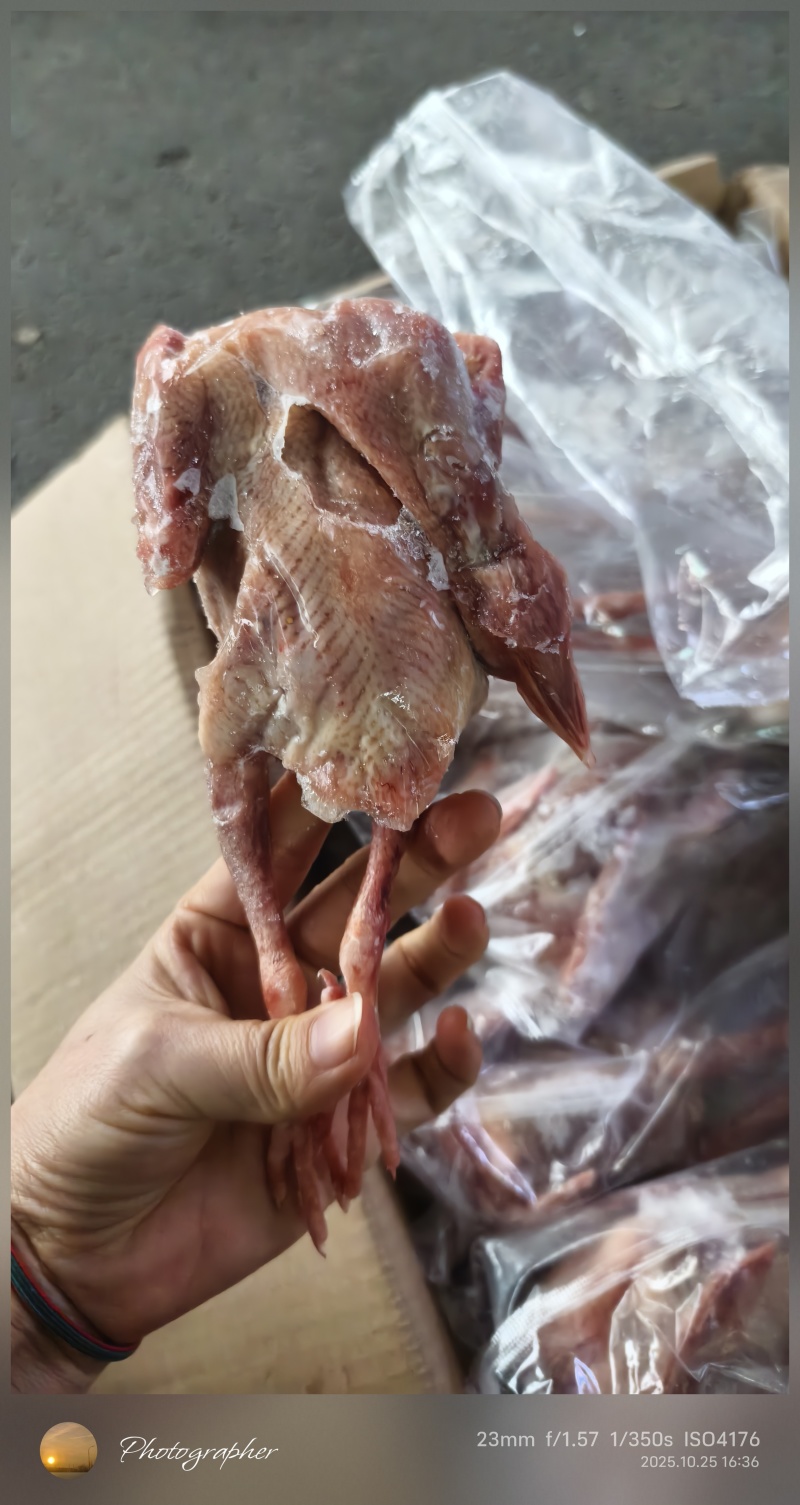 品名精制乳鸽规格69两都有20只