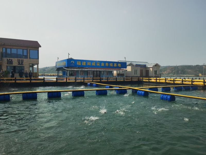 福建龙头渔业海鲈鱼，保质保量，货源稳定，一件20包，欢迎咨询