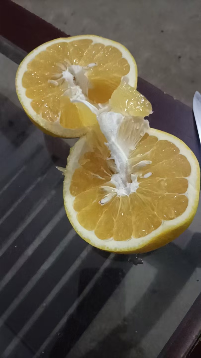 赣南西柚