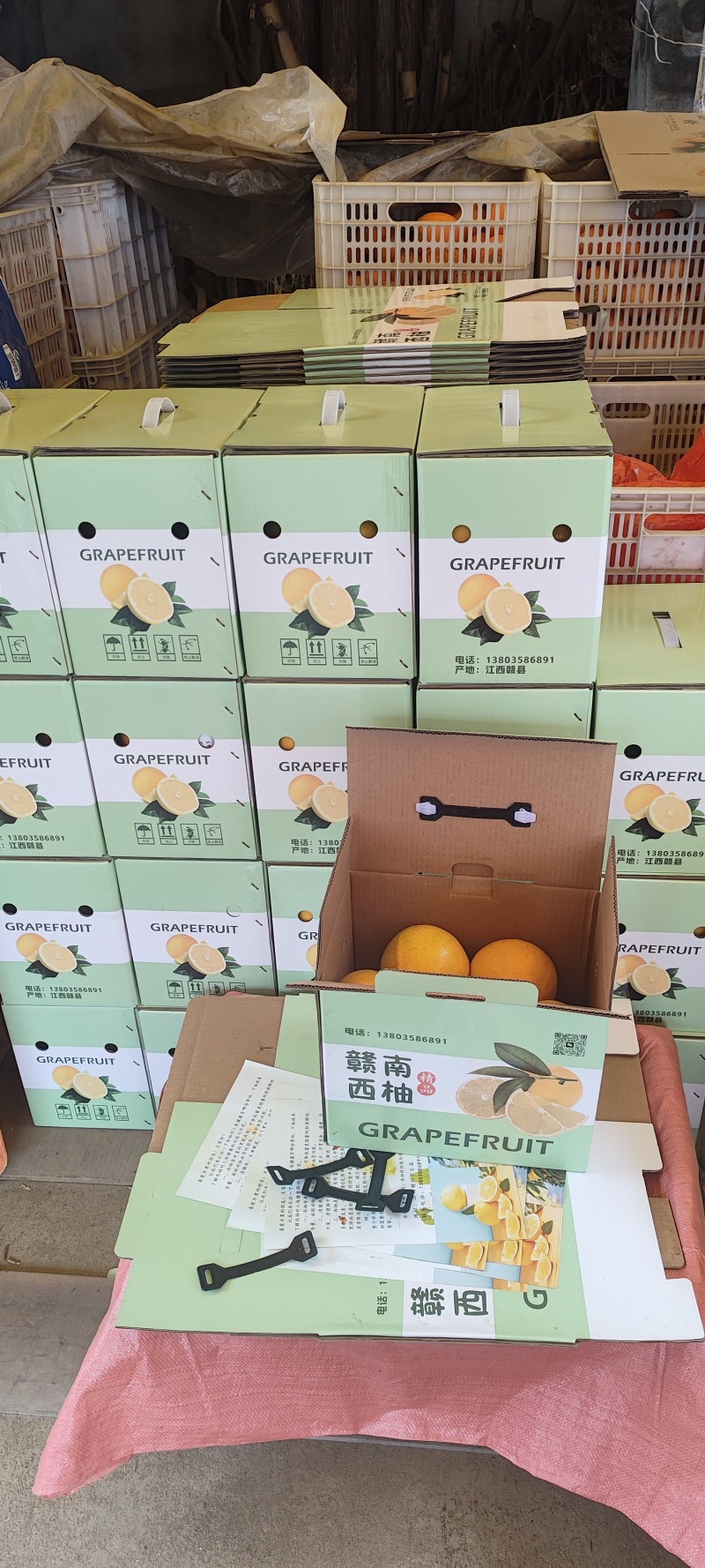 赣南西柚