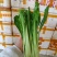 连州正宗迟菜心
