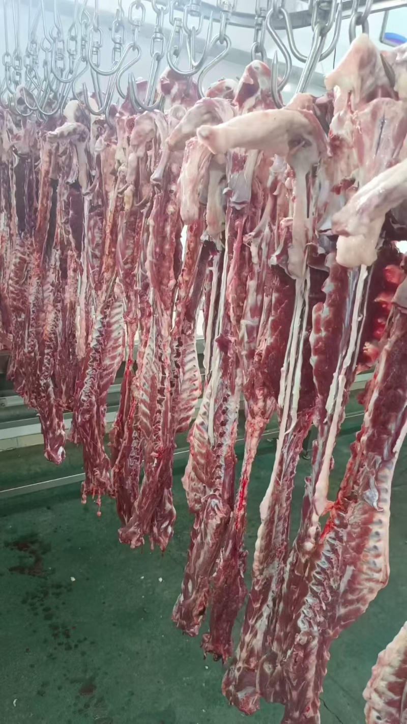 内蒙古锡盟乌珠穆沁羊肉