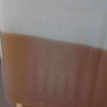 野生茶油