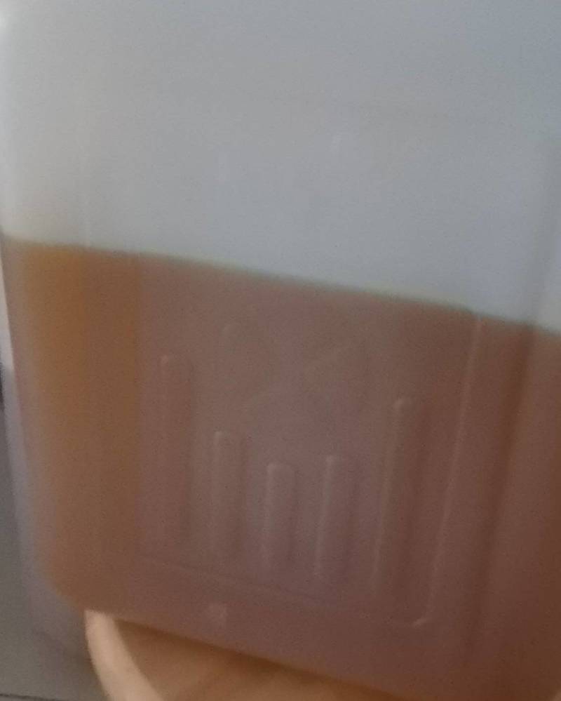 野生茶油