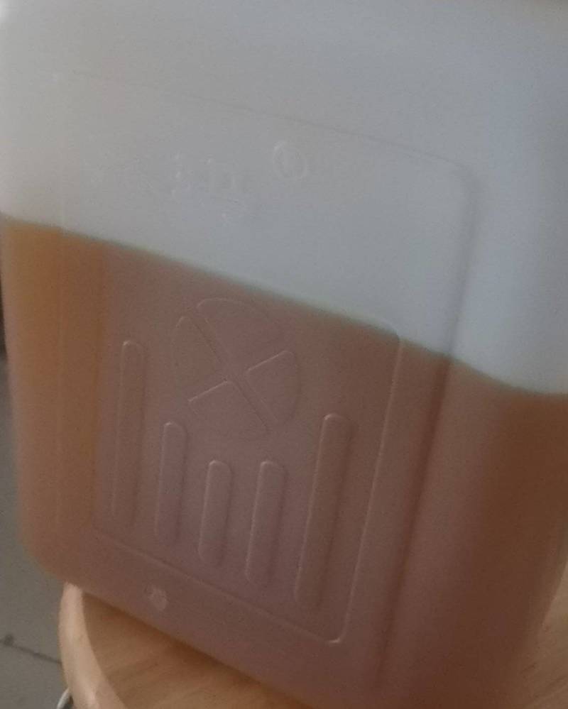 野生茶油