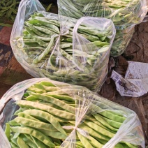 芸豆