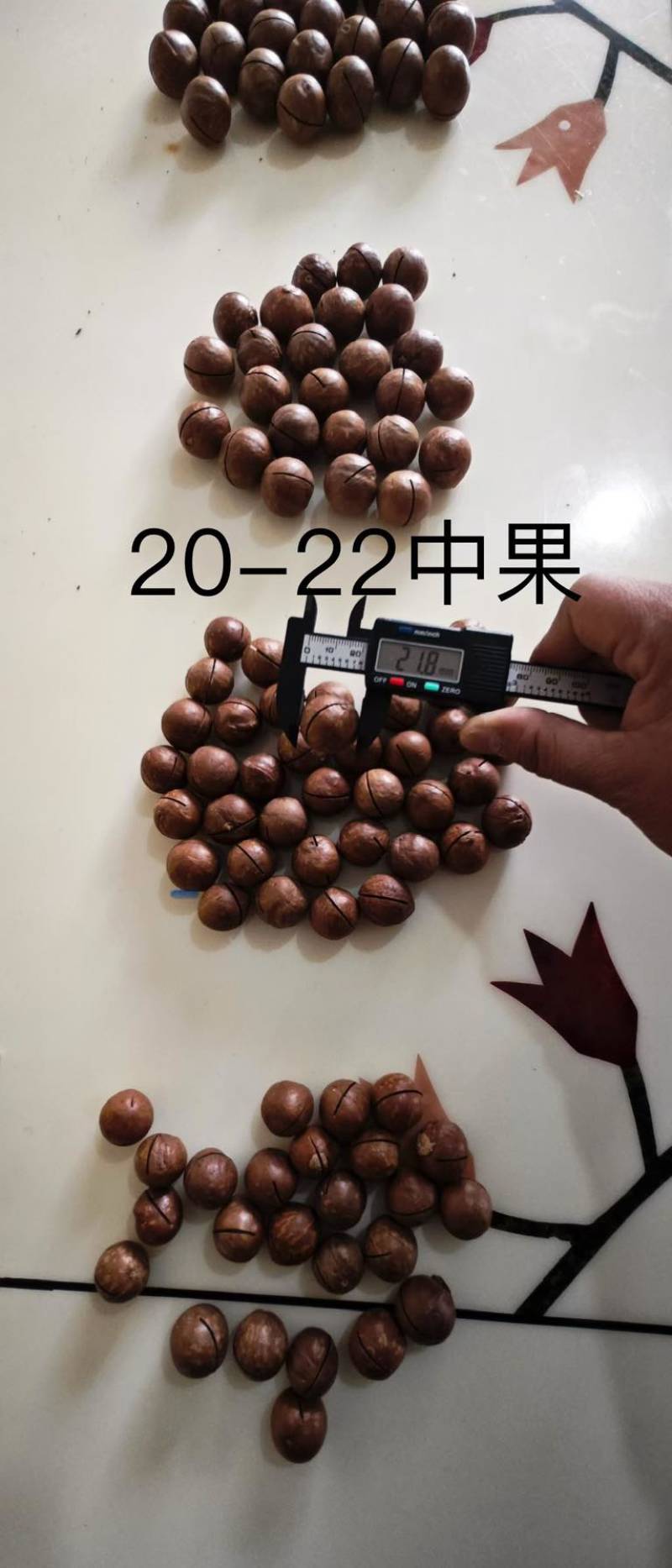 云南临沧夏威夷果新货，规格齐全，现货充足，电商一件代发