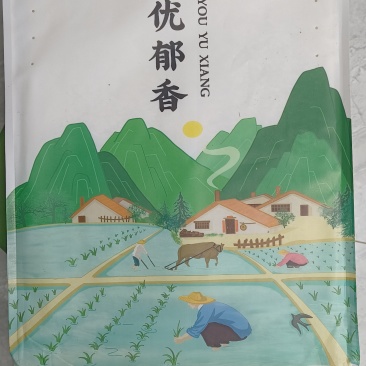 自种香米