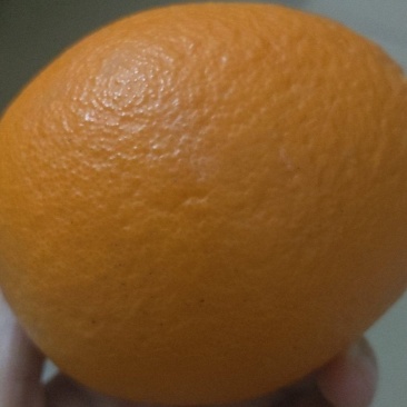 广东