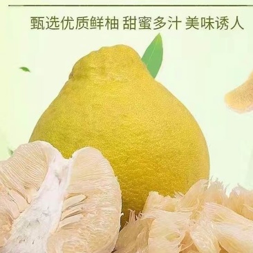 湖南江永香柚