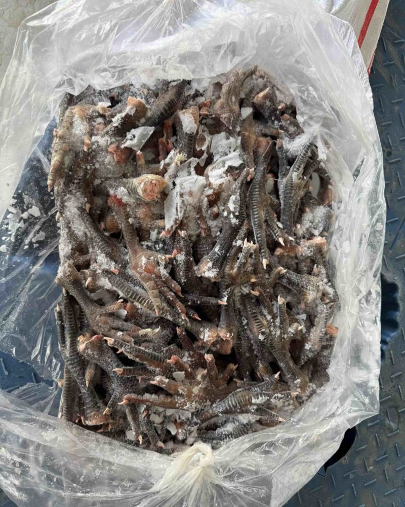 麻鸡爪，规格55-60