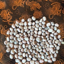 羊眼豆