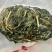 山苜楂野菜预加工冻菜