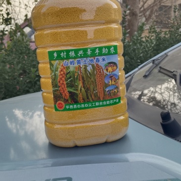 小米