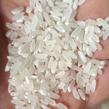 带壳南粳米5055