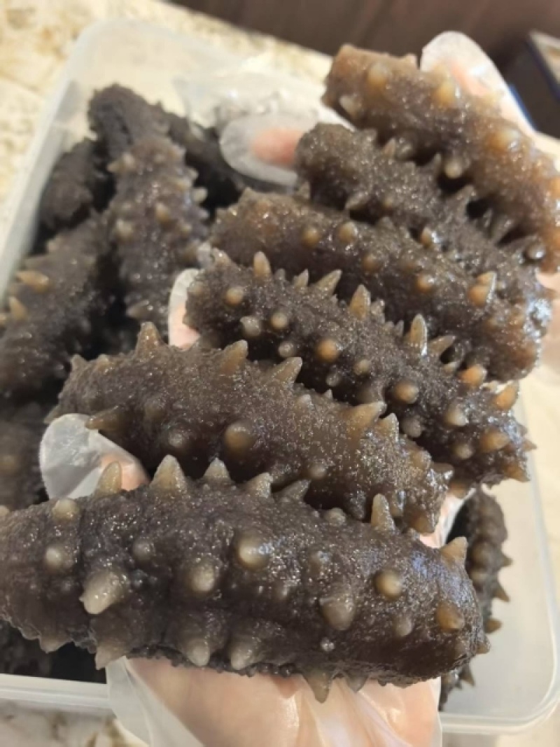 威海特产即食海参只要80多一斤