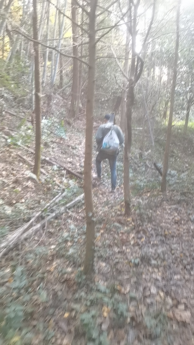 桂林布灵川县灵田正义金盆村高山东笋