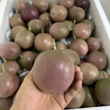 百香果