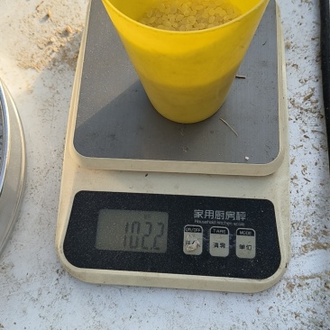 建三江圆粒水稻水份15/整米6.8/7.1品种3048