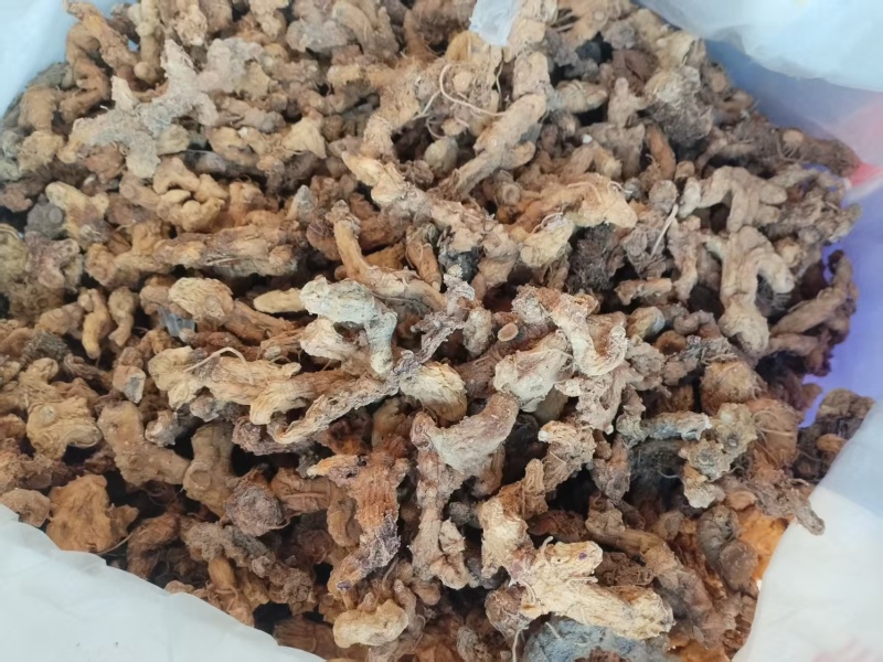 干黄精