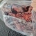 二级猪心，二级猪心10kg/件新货20吨