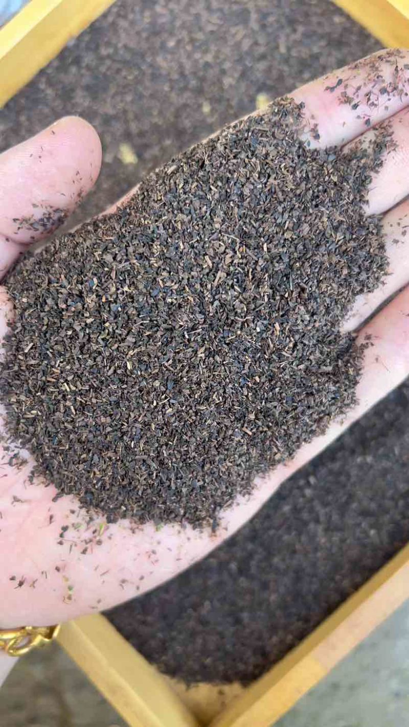 红茶沫子