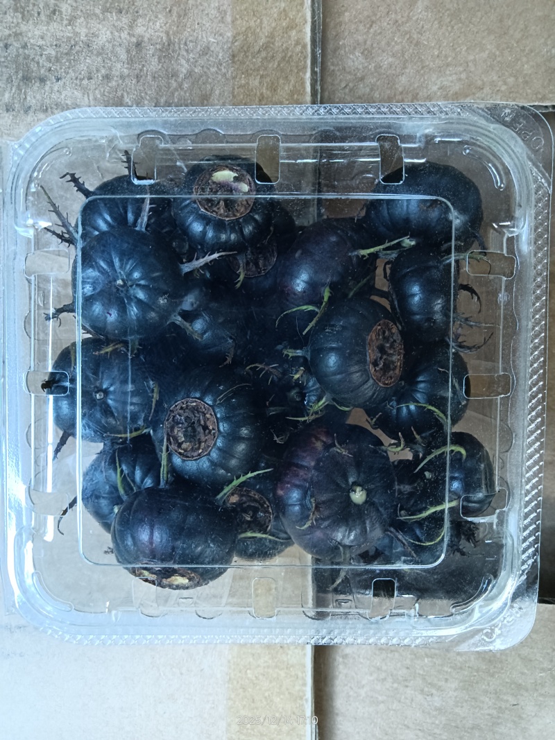 云南正宗新鲜红果参