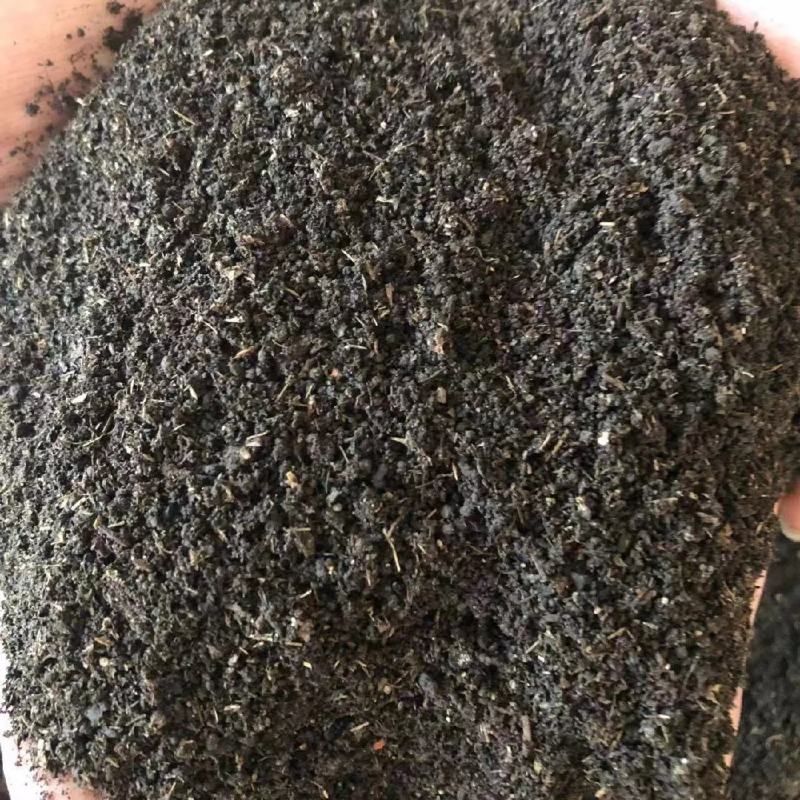 羊粪有机肥果树种植专用