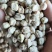 生鹰嘴豆熟鹰嘴豆土耳其鹰嘴豆各种规格