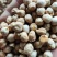 生鹰嘴豆熟鹰嘴豆土耳其鹰嘴豆各种规格