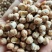 生鹰嘴豆熟鹰嘴豆土耳其鹰嘴豆各种规格