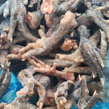 麻鸡爪，土鸡爪，老母鸡爪子