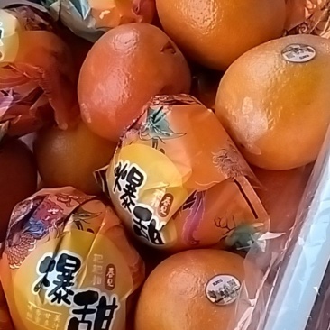 宜良脐橙