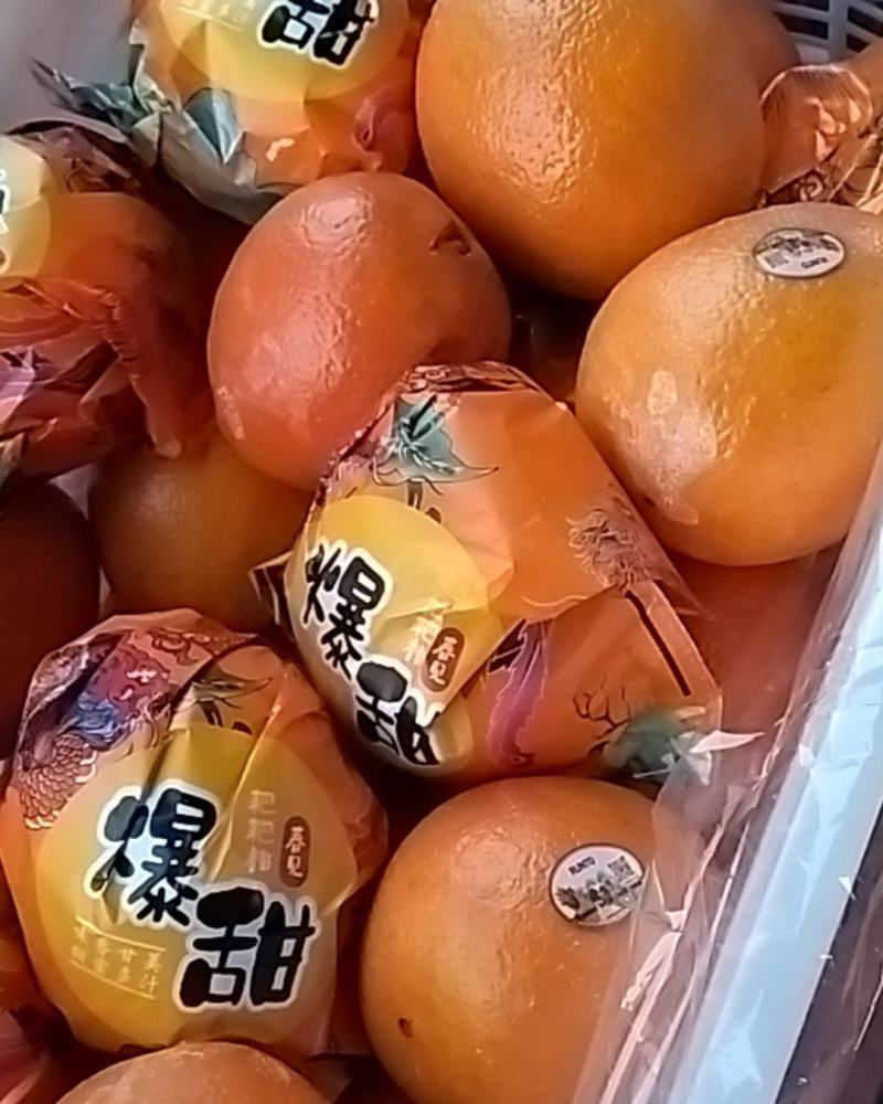 宜良脐橙