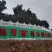 麻阳长寿之乡，锦蜜发源地锦蜜甜橙