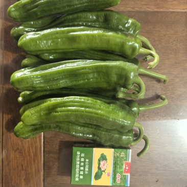 鲜辣椒泡椒货源充足品质保证欢迎老板老板电联