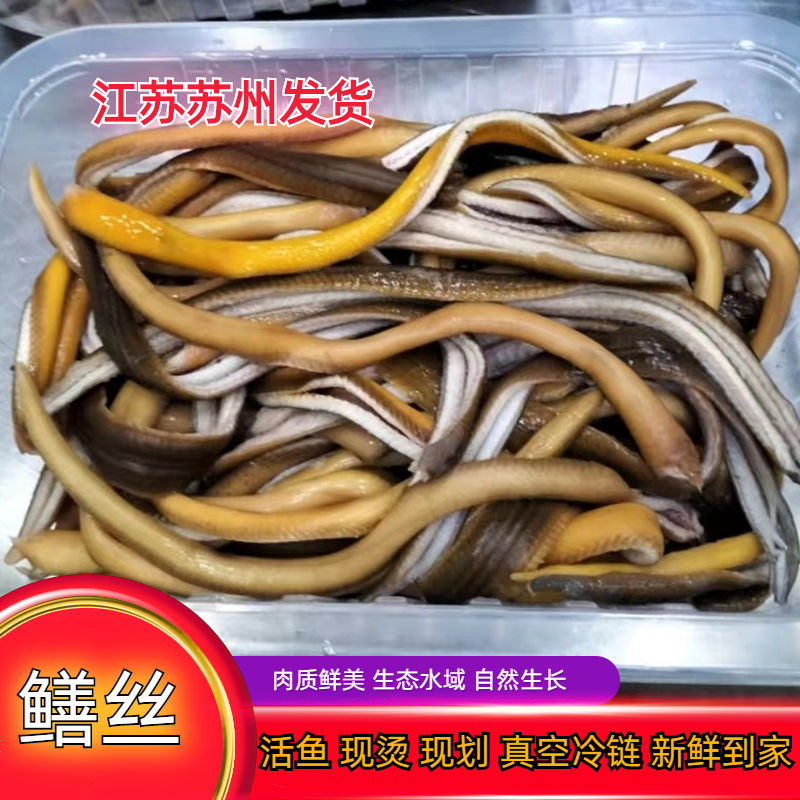 响油鳝丝鲜活宰