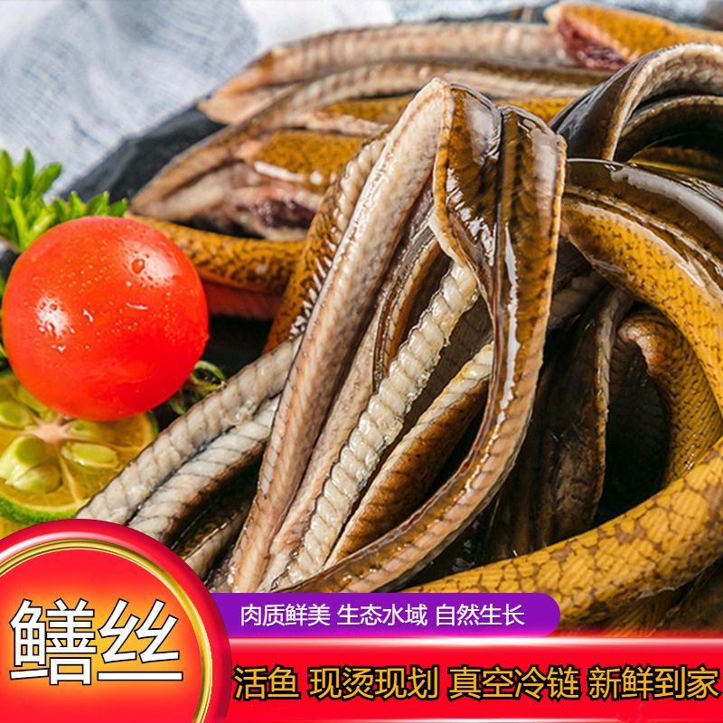 响油鳝丝鲜活宰