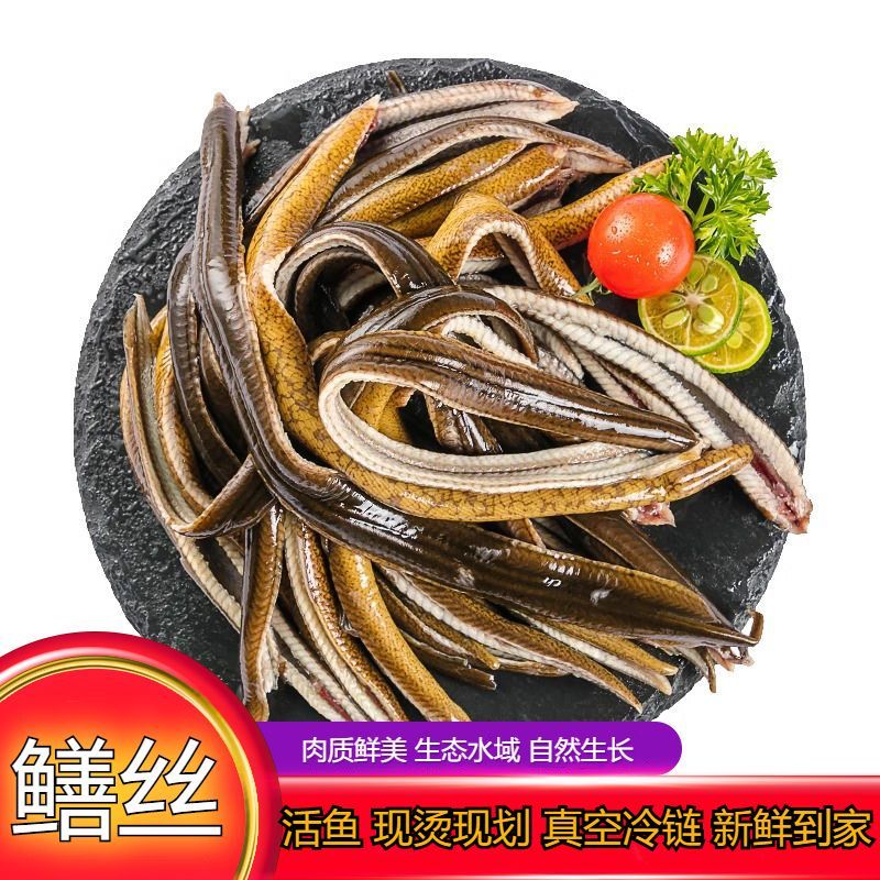 响油鳝丝鲜活宰